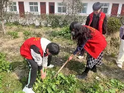 dojki播放不-开云最新网址